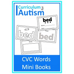 CVC Words Mini Books 